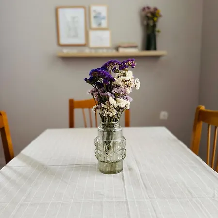 Vintage - Your Comfy Choice *