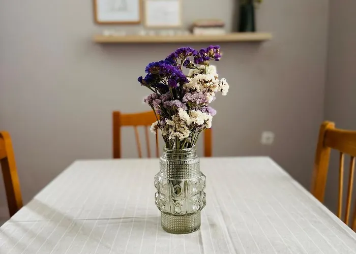 Vintage - Your Comfy Choice *